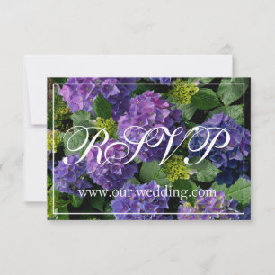 Reserve A Data Elegante azul magenta magenta floral hydrangea RSV
