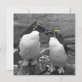 Reserve A Data Explosão de Cor de Pinguim