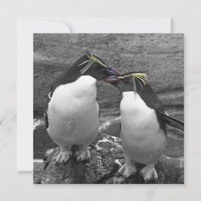 Reserve A Data Explosão de Cor de Pinguim (Frente)