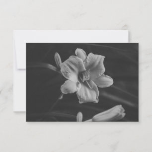 Reserve A Data Floral Noir