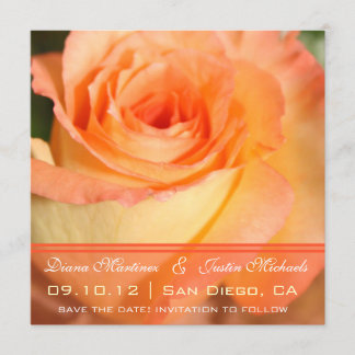 Reserve A Data Flores Rosa Rosa Rosa Rosa Rosa Rosa Rosa, Salve a