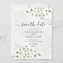 Folhagem Verde Botânica Salvia Rústica Com Foto