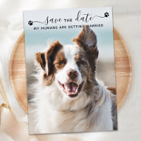 Foto de Pet personalizada de Casamento de Cachorro