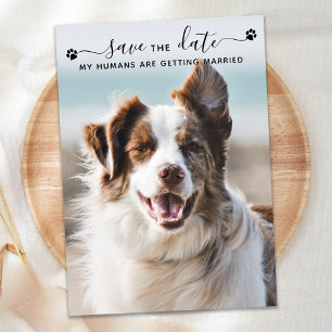 Reserve A Data Foto de Pet personalizada de Casamento de Cachorro