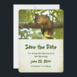 Reserve A Data Fotografia de Natureza Curiosa do Esquilo<br><div class="desc">Salve o cartão de data com uma imagem adorável de um esquilo marrom parado em um galho de árvore olhando para você com um rosto inquisitivo.</div>