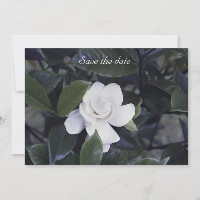 Reserve A Data Gardenia Floral Salve A Placa De Data (Frente)