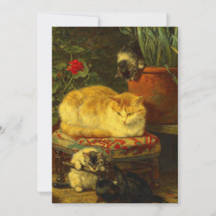 Reserve A Data Gatinhos no Play