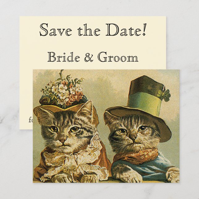 Reserve A Data Gatos engraçados em chapéus ao estilo Vitoriano (Frente/Verso)