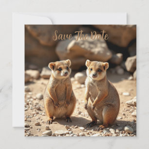 Reserve A Data Gêmeos Quokka australianos,