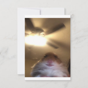 Reserve A Data Hamster Staring Meme