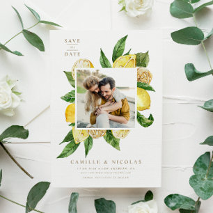 Reserve A Data Imagem Botânica de Molho de Limão de Aquarela