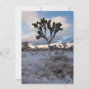 Reserve A Data Joshua Tree Snowy Manhã #2