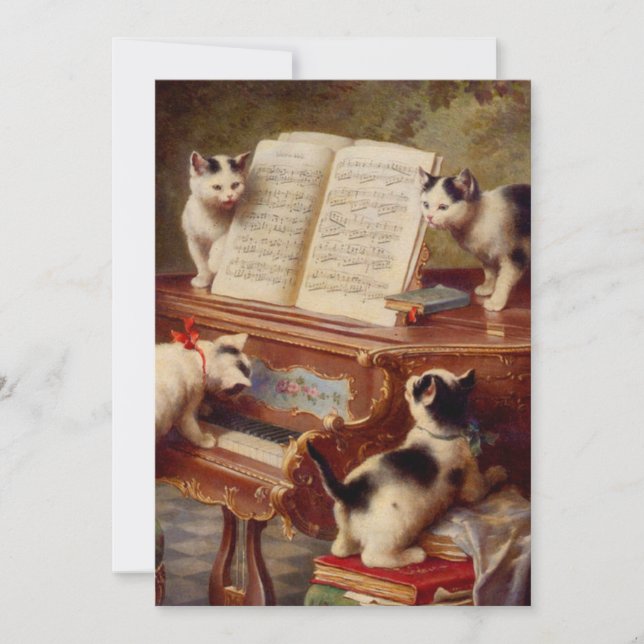 Reserve A Data Kittens e Piano (Frente)