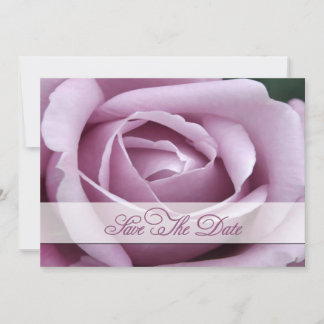 Reserve A Data Lavendar Rosa Salve a data