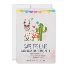 Legal lama em óculos escuros em forma de coração A