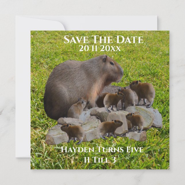 Reserve A Data Mamãe E Bebê Capybaras, Salve A Data (Frente)