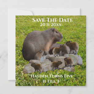 Reserve A Data Mamãe E Bebê Capybaras, Salve A Data