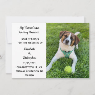 Reserve A Data Meu humano está se casando Foto de cão Salvar