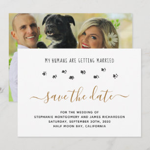 Reserve A Data Meus Humanos Casando Foto de Casamento de Animal d