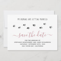 Meus Humanos Casando Rosa Dourado Pet Casamento