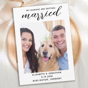 Reserve A Data Meus Humanos Estão Casando Com Casamento De Cachor