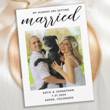 Meus Humanos Estão Se Casando - Casamento Simples 