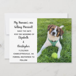 Reserve A Data Meus Humanos Estão Se Casando Foto do Cachorro
