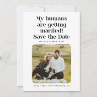 Meus Humanos Estão Se Casando | Foto Engraçada de