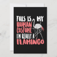Minha Figurinha Humana Sou Mesmo Uma Mummy Flaming