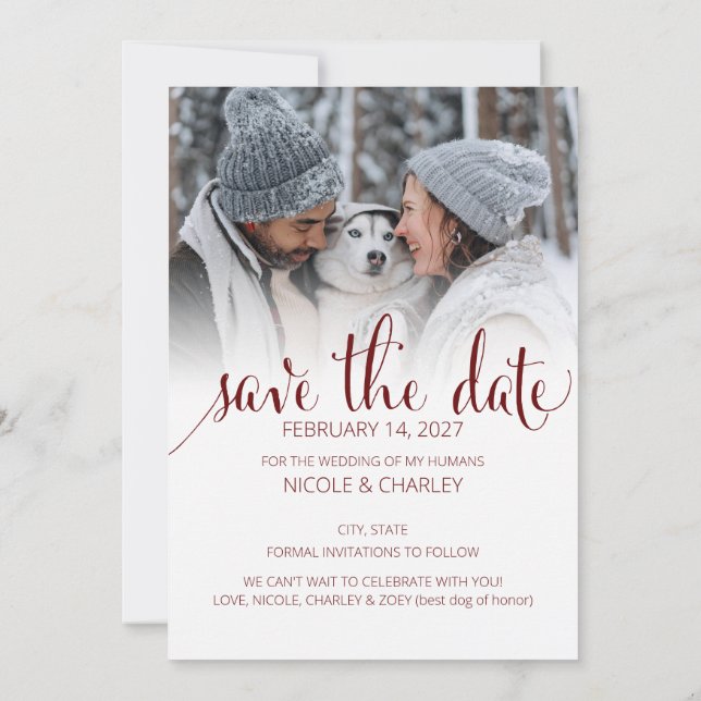 Reserve A Data Modern Humans Getting Married Pet Photo Engagement (Verso)
