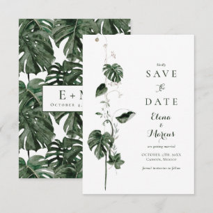 Reserve A Data Monstera Tropical Palm Botânico