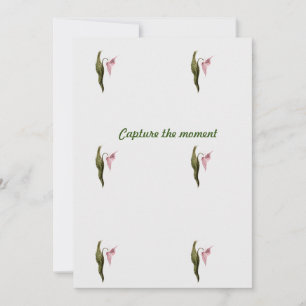 Reserve A Data Nota plana