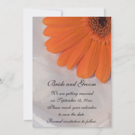 Reserve A Data Orange Daisy e White Satin Weding Save the Date