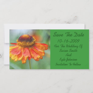 Reserve A Data Orange Daisy Floral Weding A Data