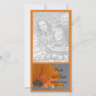Reserve A Data Orange Daisy no casamento da Cinza Salve a data
