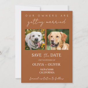 Reserve A Data Orçamento, minimalista, foto personalizada de cão
