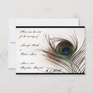 Reserve A Data Pavock Feather Glamor Salvar Data