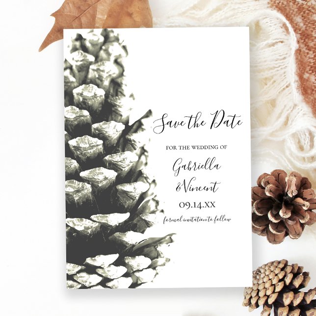 Reserve A Data Pine Cone em White Woods Casamento Salve a Data (Criador carregado)