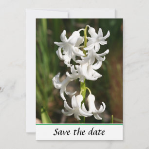 Reserve A Data Primavera White Bell Flora Flat Save The Date Card