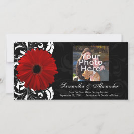 Reserve A Data Red, Black and White Scroll Gerbera Daisy