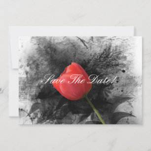 Reserve A Data Red Tulip Salve A Data