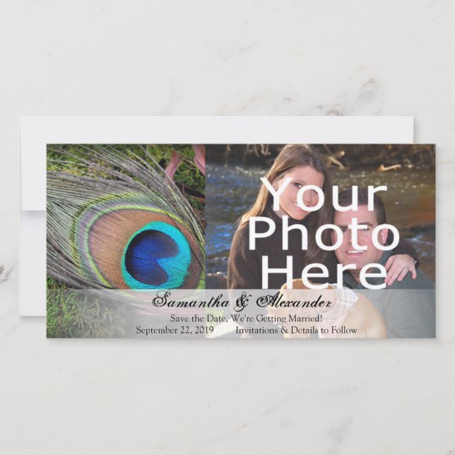 Reserve A Data Rich Peacock Feather com Green Moss (Frente)