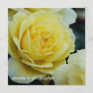 Reserve A Data Rosa amarela DSC3677