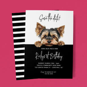 Reserve A Data Salve a Data Yorkshire Terrier Cão 1º Aniversário