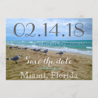 Reserve A Data Seagull Beach Salve a data