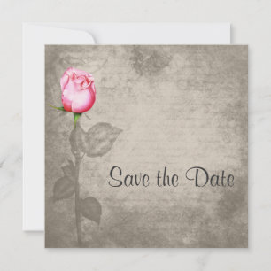 Reserve A Data Sepia Vintage Colorido Rosa Rosa Rosa Salva a Data
