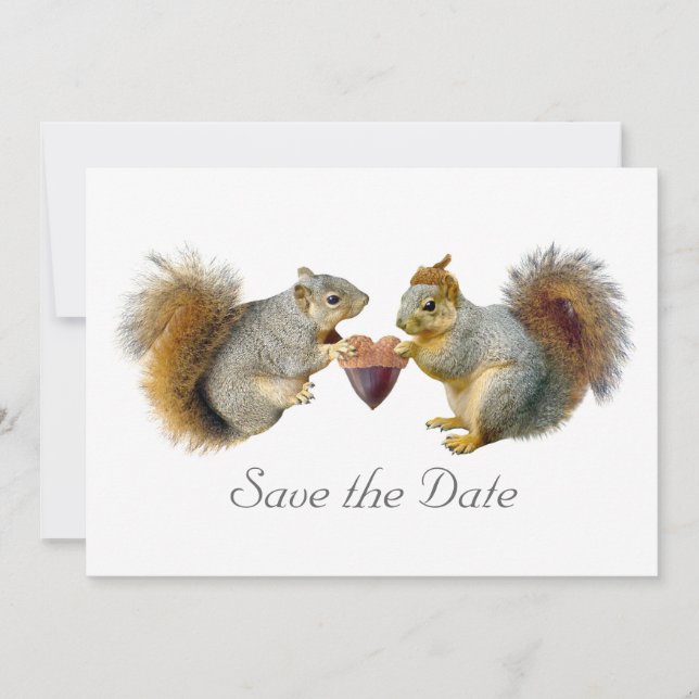 Reserve A Data Squirrels Heart Acorn Save the Date Card (Frente)