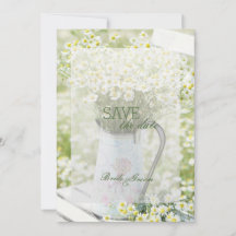 Summerfield Daisies Chamomile Flower SALVE a data