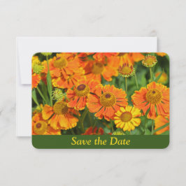 Reserve A Data Surpresa de Aniversário no Jardim de Flores de Sne