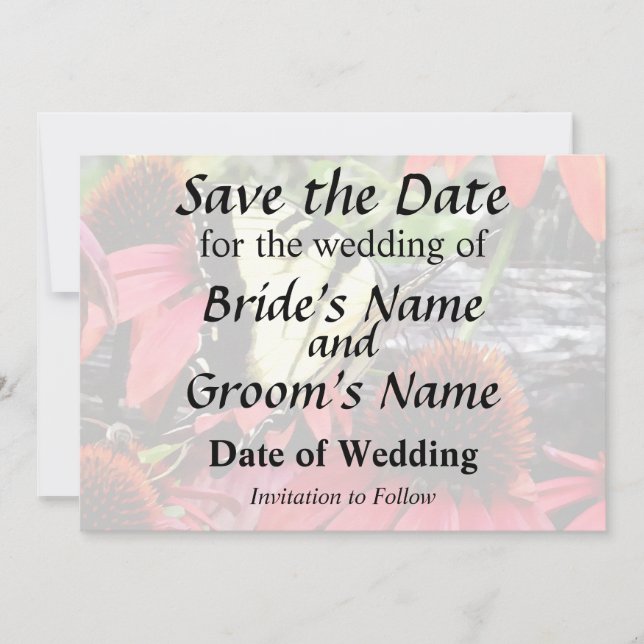 Reserve A Data Swallowtail on Red Coneflower (Frente)